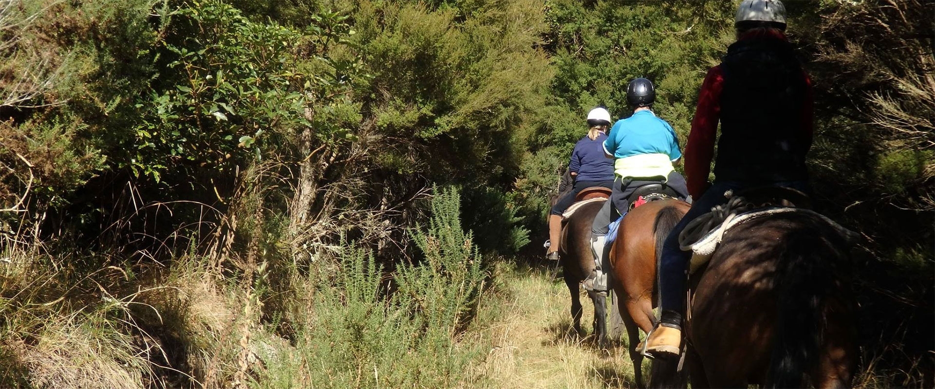 horse trekking